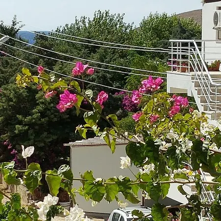 Sevgin Apart * بالاموتبوكو